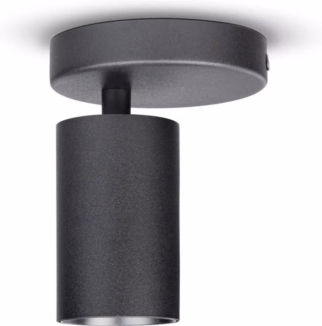 Lampada da parete e soffitto Vito nero