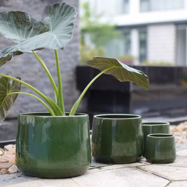 Set di 4 vasi in ceramica Minimal verde scuro lucido per giardino e balcone H: 33 cm, 30 cm, 26 cm, 15 cm
