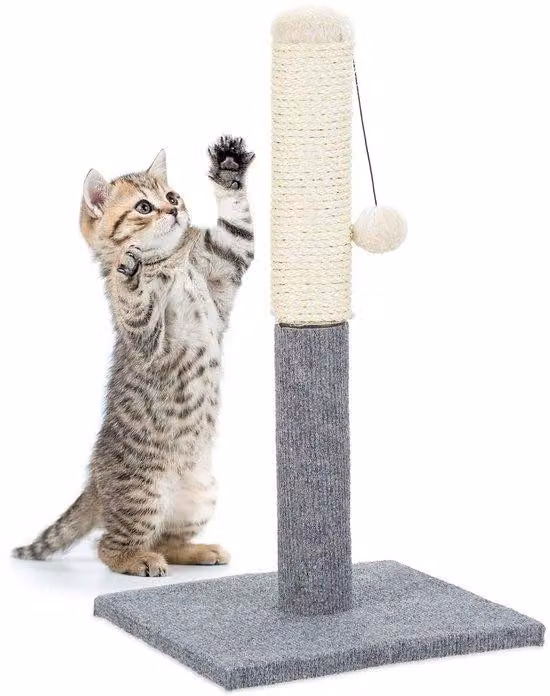 Albero di sisal Famanu per gatti, con palla giocattolo - Grigio