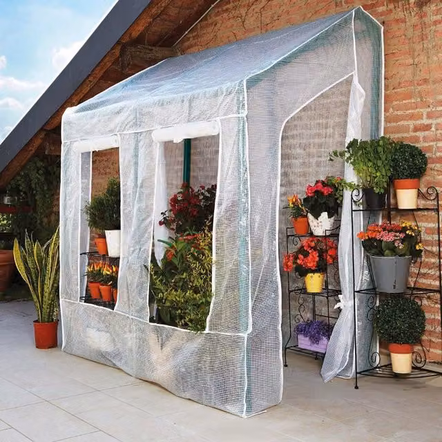 Serra da giardino VERDEMAX Lobelia bianca in PVC con finestre, L 200 cm x P 110 cm x H 210 cm
