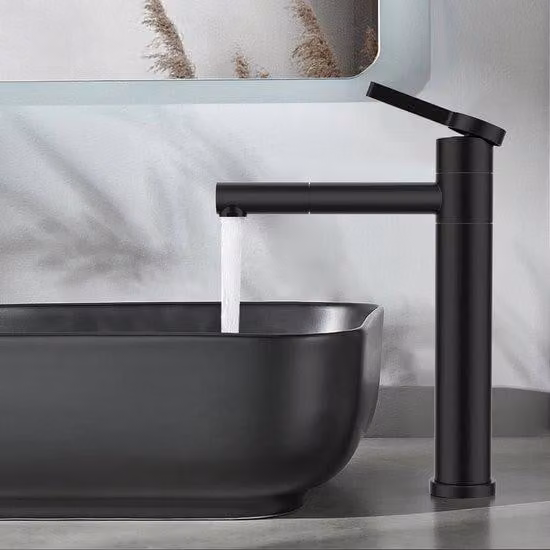 Braccio di lavaggio in acciaio inossidabile, nero, per lavabi alti, con ugello a 360 gradi, dal design moderno.
