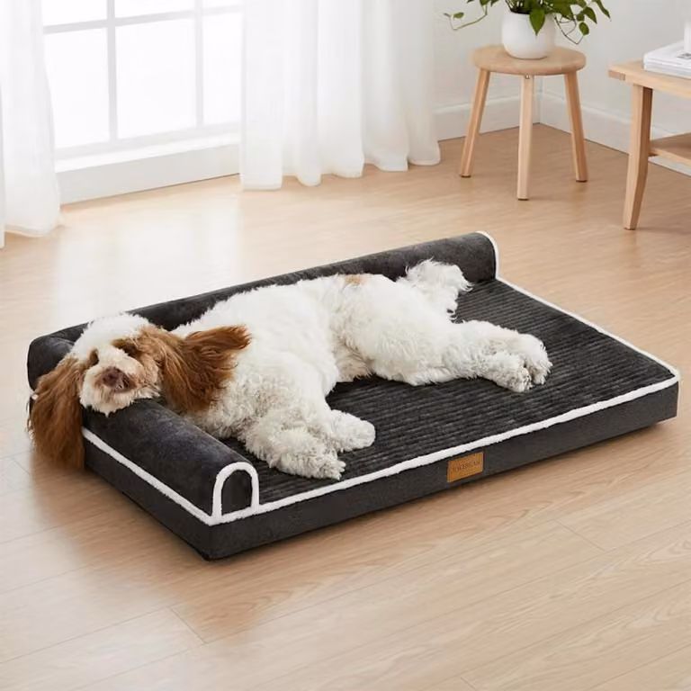 Cuccia ortopedica per cani, dimensioni 106x71 cm, colore nero, con imbottitura in schiuma da 9 cm, adatta a cani di taglia media e grande