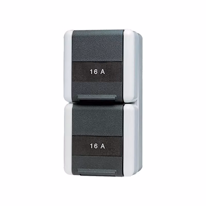 Presa di corrente Jung SCHUKO, 2-gang 16A 250V 822 NAW