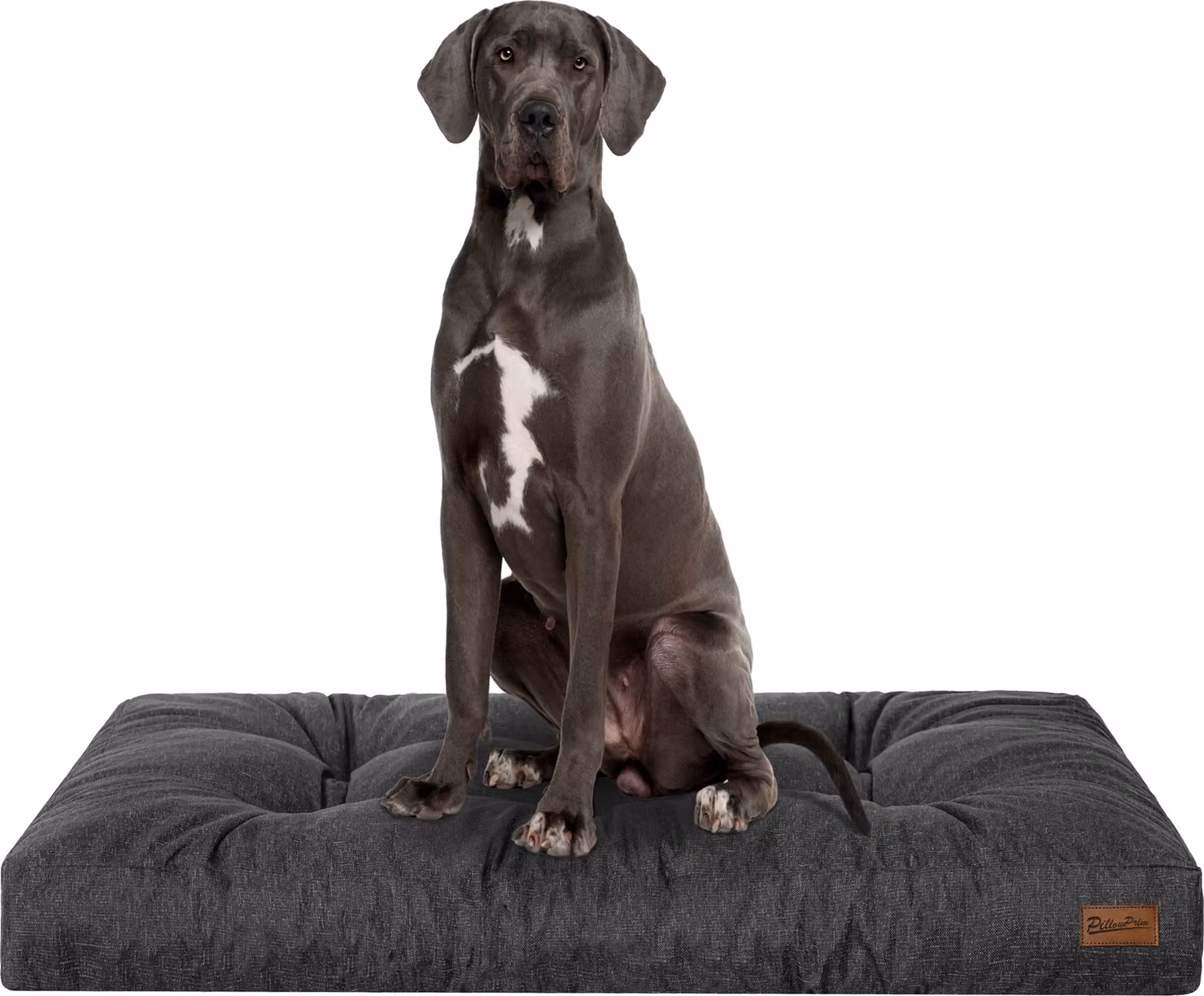 Materasso per cani "Grand Light" - 130x100cm - Cuccia idrorepellente - Rettangolare - Outdoor & Indoor | PillowPrim