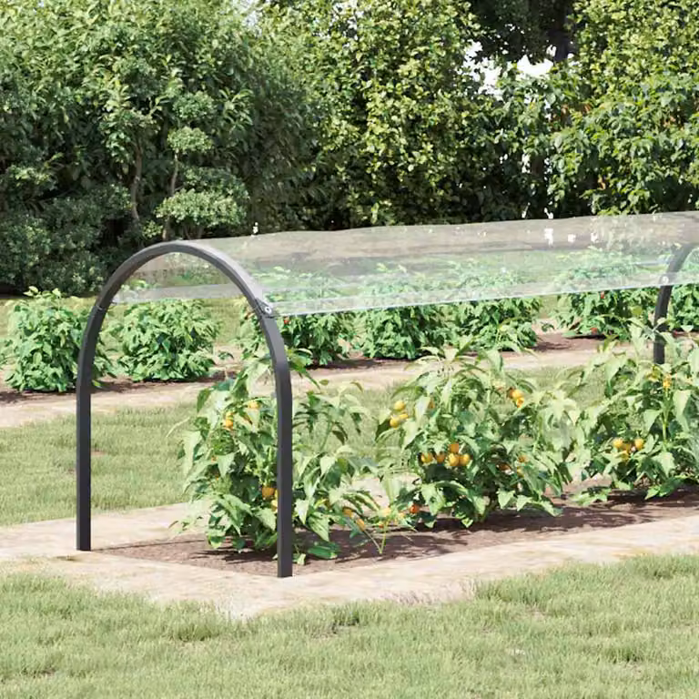Copertura per Piante con Occhielli 1x8 m in PVC