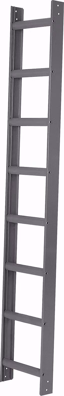 Scala da tetto Iller in alluminio con verniciatura a polvere di alta qualità 10 pioli antracite