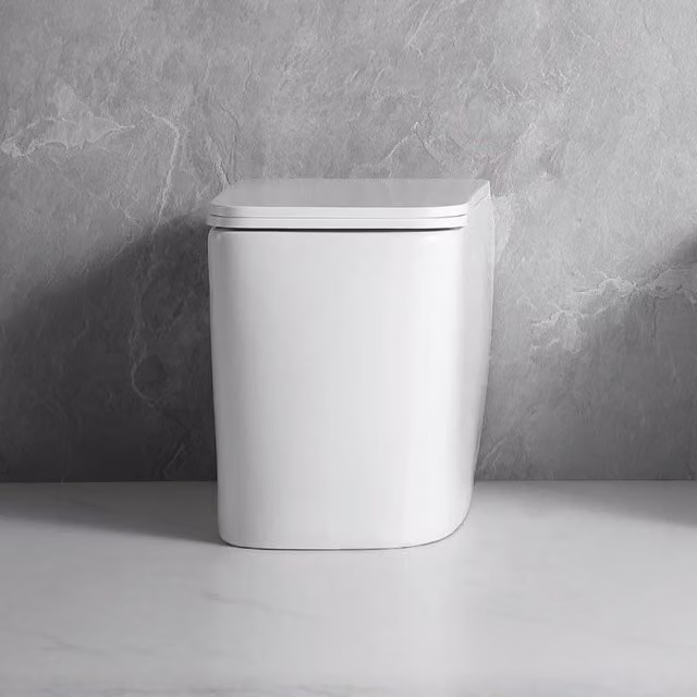 WC filo muro FT54D a pavimento in ceramica bianco 54x36x41.5H cm.