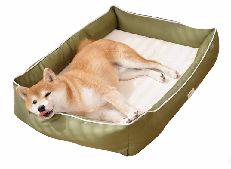 Cuccia ortopedica per cani e gatti, lavabile, colore verde, dimensioni L: 70x50x12 cm