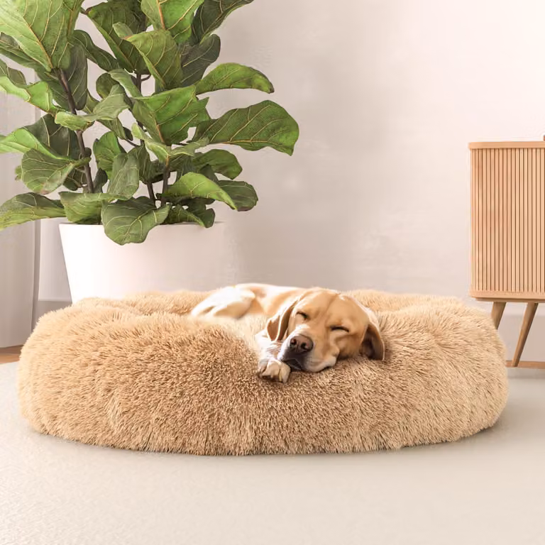 Solidchoice - Cuccia per cani Droom - Cuccia rotonda in morbido tessuto, 70x70 cm