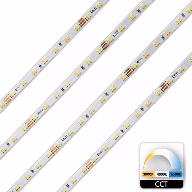 Striscia LED Trade Shop TRAESIO CCT Dimmerabile IP65 24V 62W con Bobina da 5mt, Temperatura Colore da 3000K a 6500K, Colore Bianco
