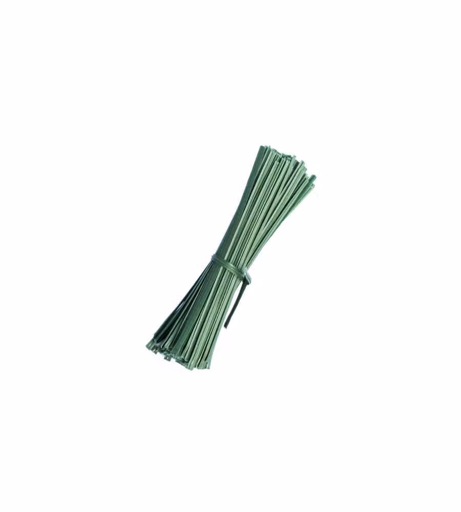 Masidef Filo per Giardinaggio - Verde - 15 cm - 100 pz