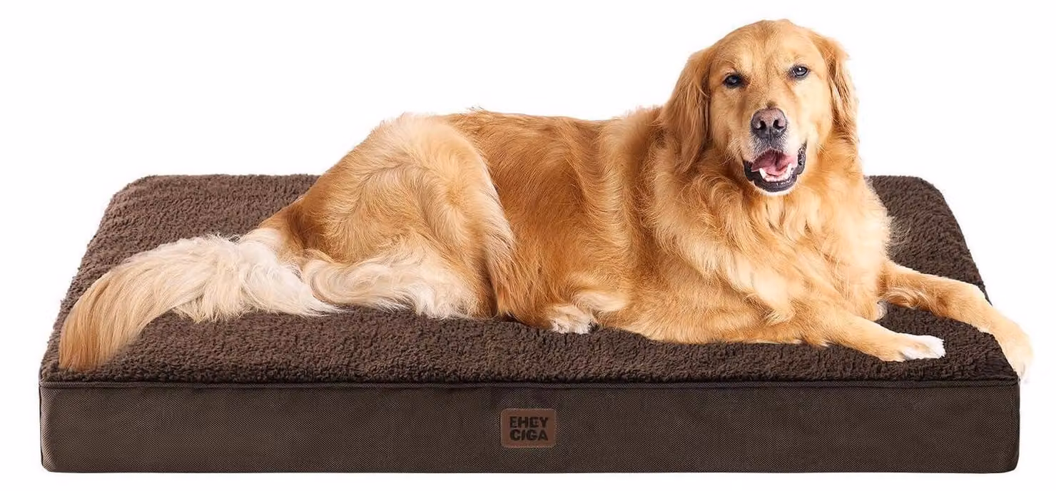 Cuccia ortopedica per cani, taglia XL, 112x81 cm, lavabile, color marrone