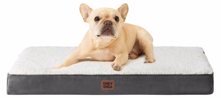 Cuccia ortopedica per cani, 76x51 cm, lavabile, color beige