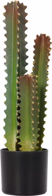 Pianta artificiale decorativa Cactus HOMCOM verde con vaso, design moderno e succulenta da tavolo, Altezza: 66 cm
