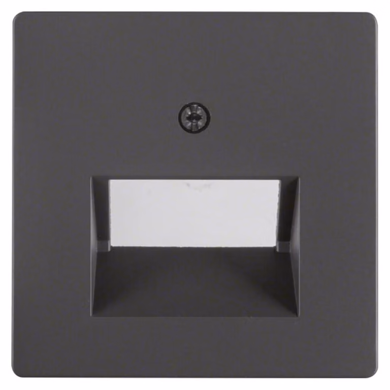 Placca centrale Berker in velluto antracite per presa UAE a 2 canali 14096086