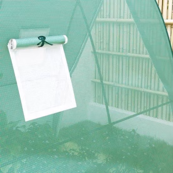 Mini-serra con copertura in plastica resistente, dimensioni 1,8 x 1,8 x 2 metri, colore verde