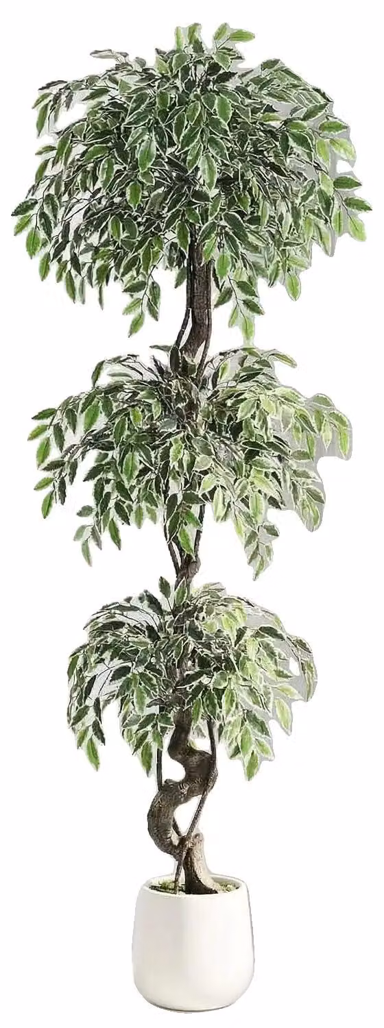 Ficus artificiale, aspetto realistico, facile da curare, altezza 180 cm