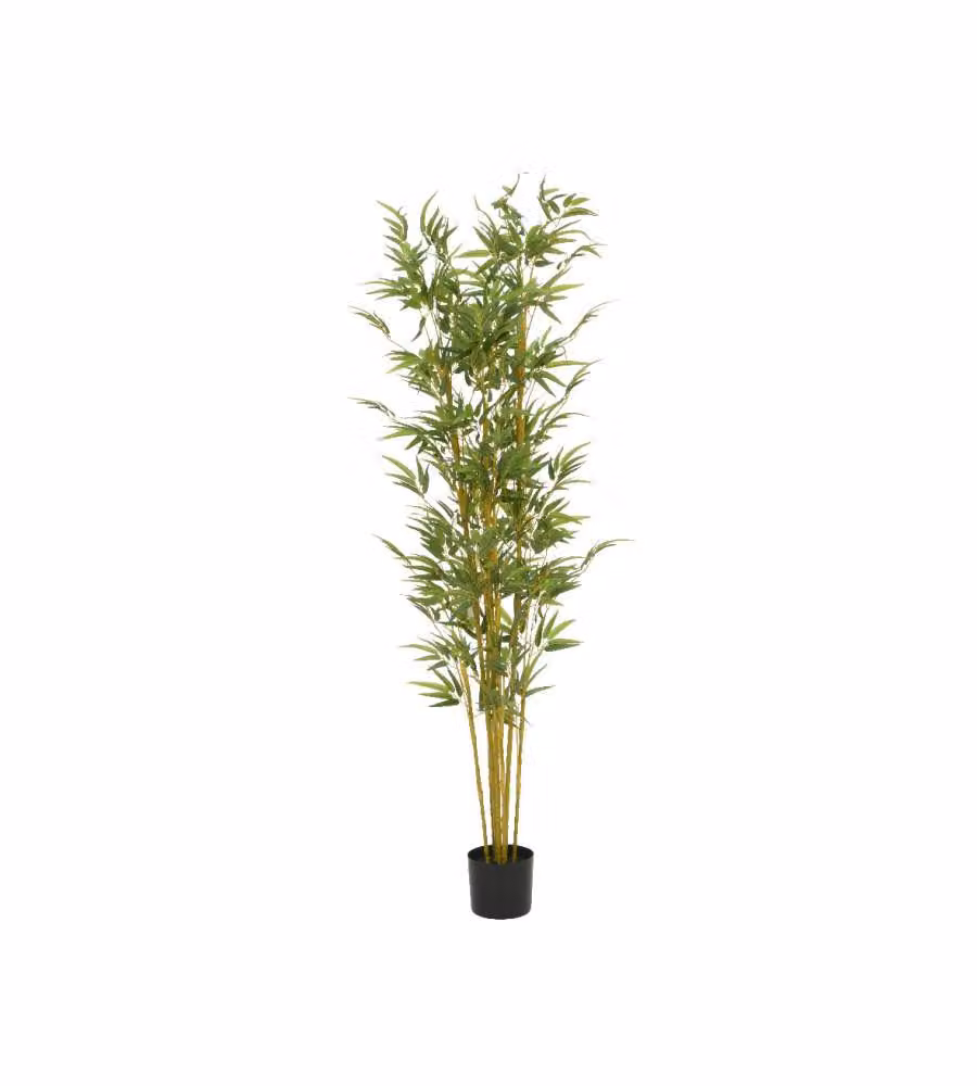 Bamboo Artificiale in Vaso