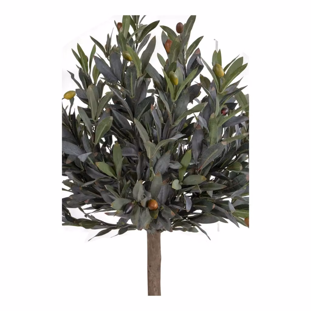 Albero di ulivo artificiale verde Vikasa Home in vaso, Altezza: 120 cm – 2
