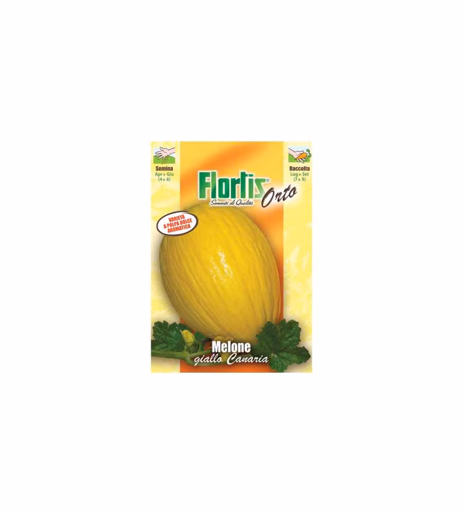 Melone Giallo Canaria
