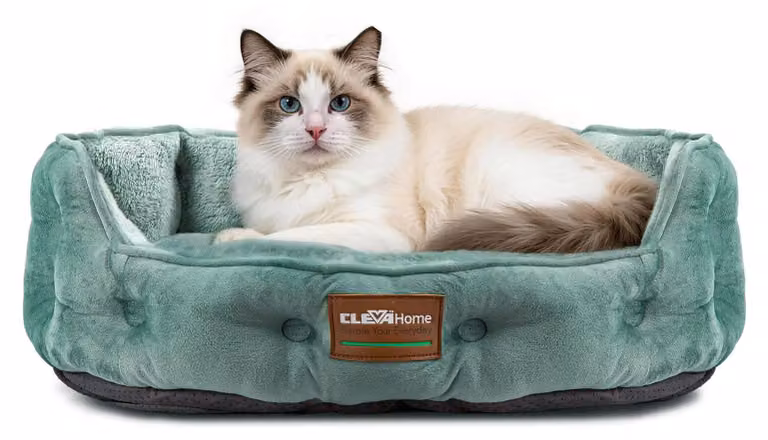 Letto per gatti e cani di piccola taglia, rotondo, morbido e lavabile