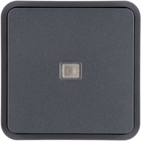 Rocker 1gang, grigio - Piastra di copertura 30763545