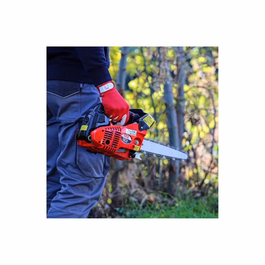 Motosega da potatura Easy 26 Carving catalizzata Valex rossa in metallo a gas – 2