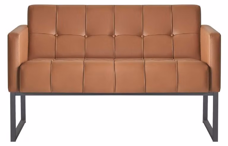 Sofa 2-Sitzer Braun Einfarbig Modern Design Arbeitszimmer Wohnzimmer