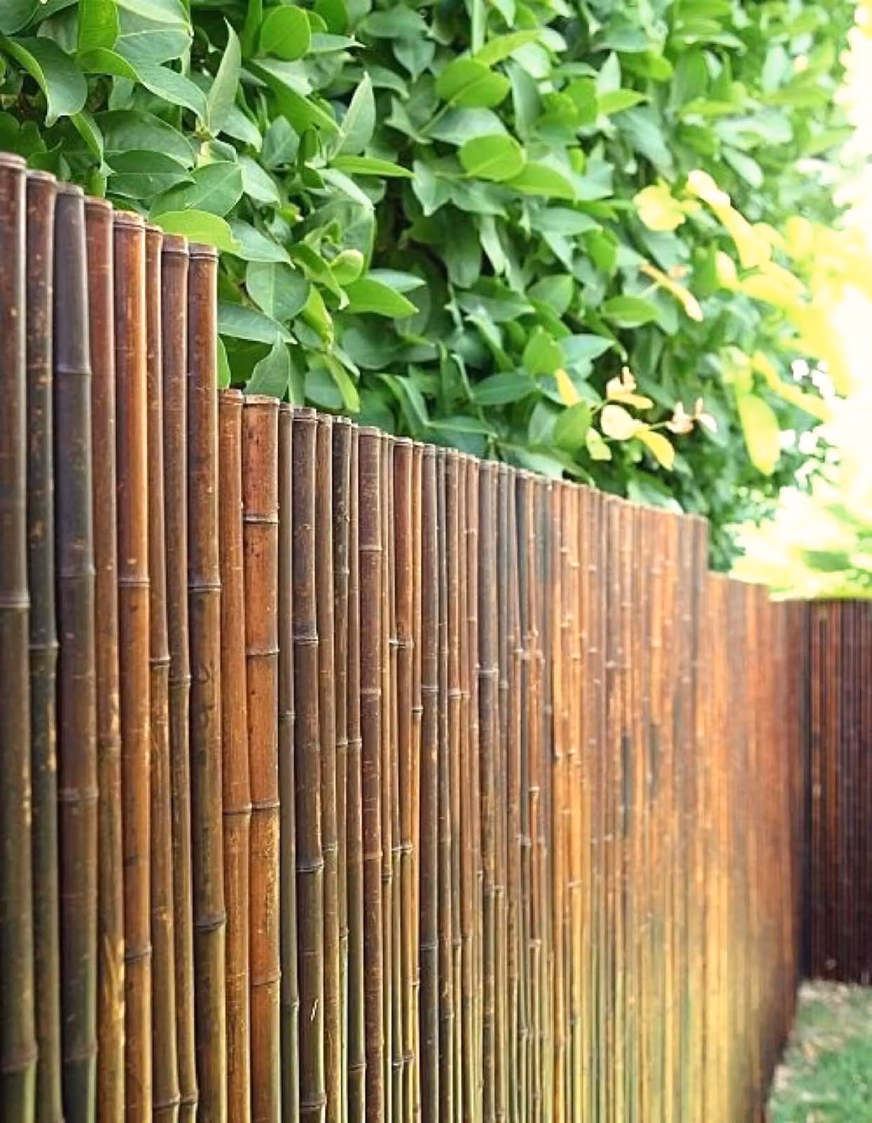 Schermo frangivista in bambù ATY NIGRA 120 cm di altezza x 180 cm di larghezza – Recinzione avvolgibile da giardino, stuoia frangivista da balcone, recinzione in bambù marrone, opaca e resistente alle intemperie