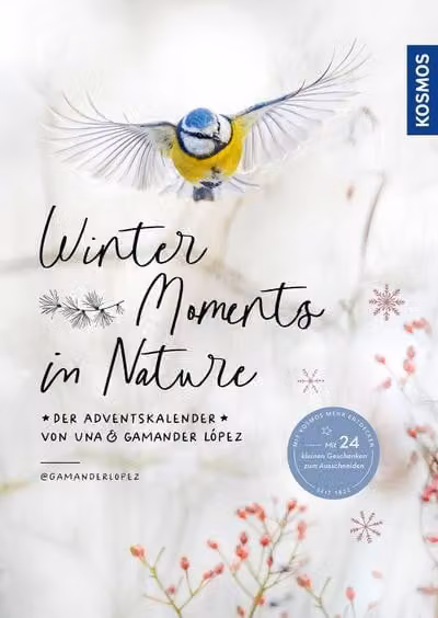 Momenti invernali nella natura - il calendario dell'avvento