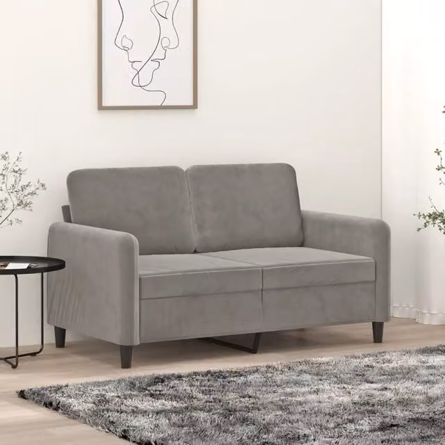 Divano a 2 Posti Grigio Chiaro 120 cm in Velluto 349033