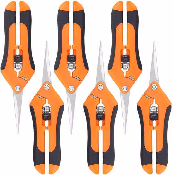 Set di 6 coltelli da giardino - Forbici ergonomiche - Lame in acciaio - Forbici per fiori e per potature - 17 cm - Attrezzo da giardino