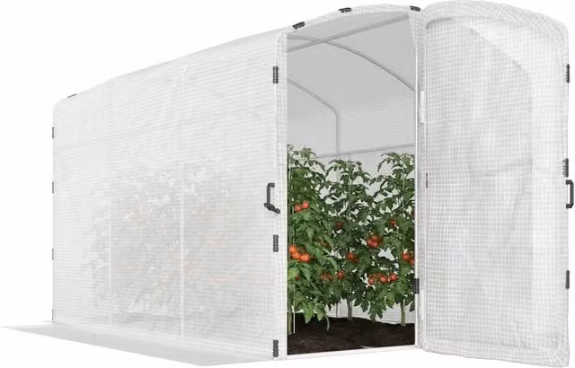 Serra tunnel da giardino Zephmum con bacheca in PE da 220g/m2, L: 300 cm, P: 200 cm, H: 195 cm, bianca e trasparente