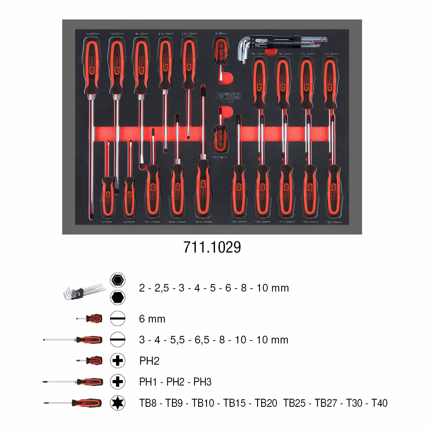 Set di cacciaviti SCS, 29 pezzi con inserto sistema 1/1