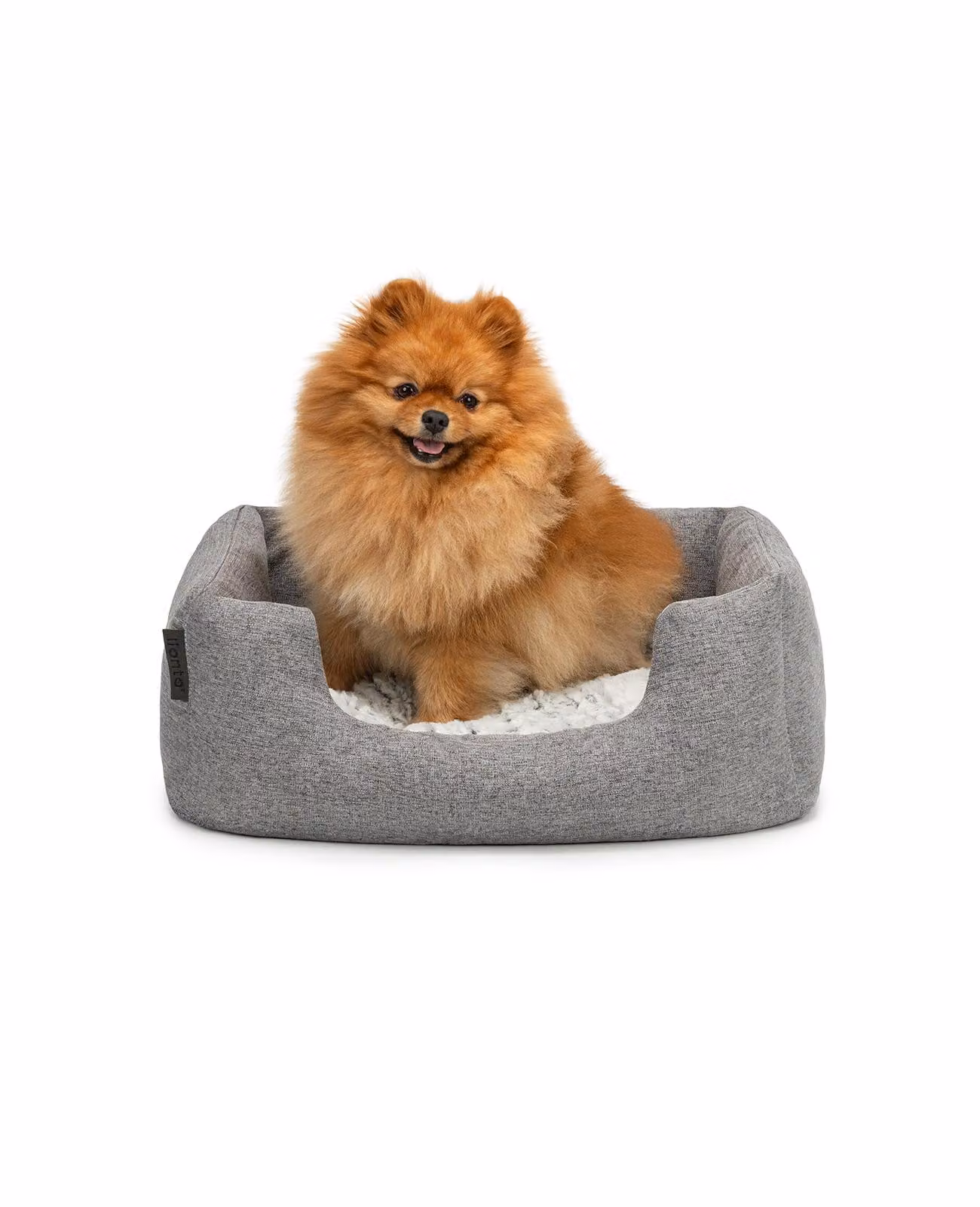 lettino per cani lionto, accogliente letto per cani con cuscino reversibile e rimovibile, base antiscivolo, 60x50 cm, grigio