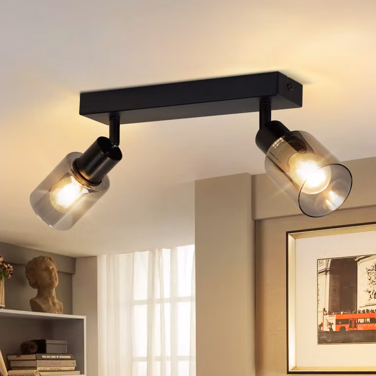 ZMH faretto da soffitto 2 fiamme vintage plafoniera E14 lampada da soffitto industriale in metallo e vetro orientabile 350° faretto da soffitto faretti da parete per corridoio cucina soggiorno senza lampadine