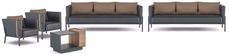 Schwarze Arbeitszimmer Designer Sitzmöbel Luxus 3 Sitzer Couchtisch 5tlg
