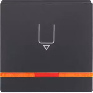 Berker 16406086 Copriinterruttore Hotelcard con stampa e lente arancione, color antracite, con Berker Q.1