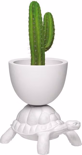 Vaso da tavolo Qeeboo Turtle Carry in polietilene bianco