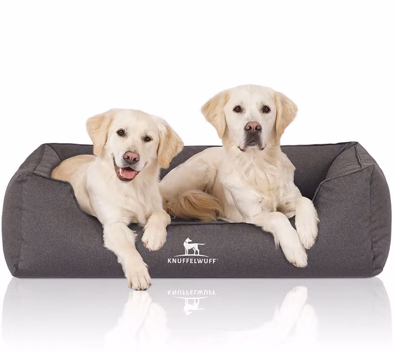 Cuccia ortopedica per cani Leon in velluto XXL antracite