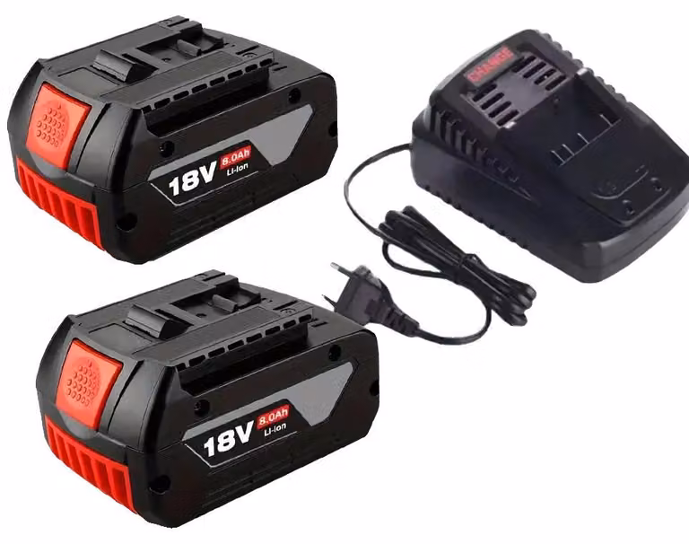 Batterie ricaricabili, agli ioni di litio, capacità di 8000 mAh, caricabatterie da 8.0AH x 2