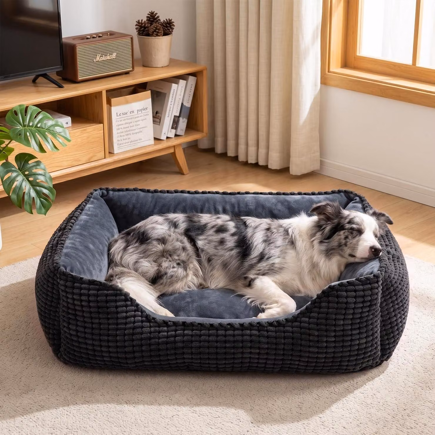 Cuccia per cani, lavabile, dimensioni 76x61x23 cm, colore nero, con bordo rialzato