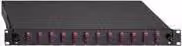 Scatola di giunzione Rutenbeck Basic Line 12xSC-D OM4 erika (2280306120)