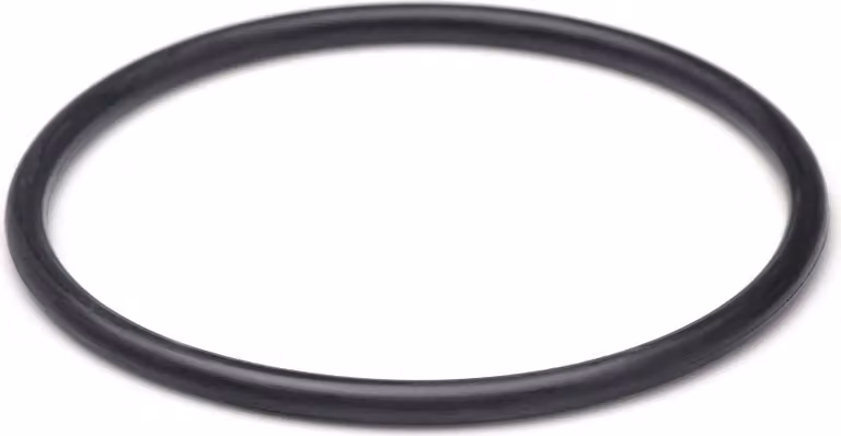 Ricambio SunSun per chiarificatore per laghetti CUV-172 - O-ring 2 - per filtri per laghetti, lampade UV, accessori per chiarificatori UVC