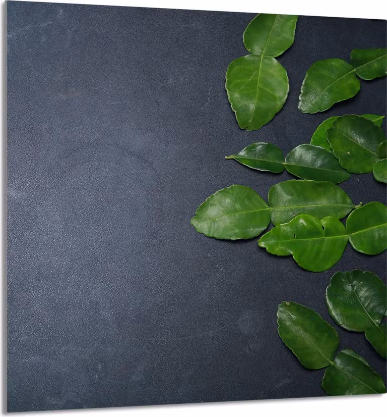 PIATTO IN VETRO PER CUCINA 60x65 ardesia