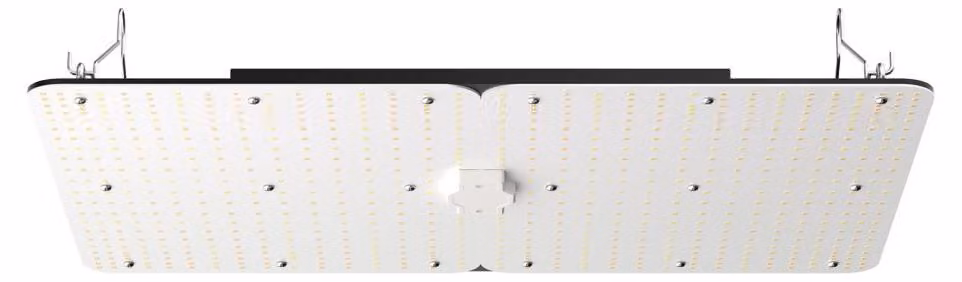 Lampada di coltivazione da 300W, dimmerabile, a spettro completo, 40000 lumen, ideale per la coltivazione indoor e in serre
