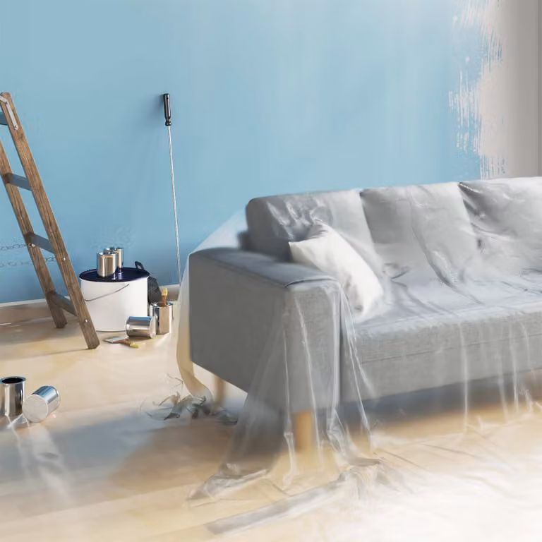 Set di 6 fogli antipolvere in PE trasparente vidaXL, L 500 cm x P 400 cm