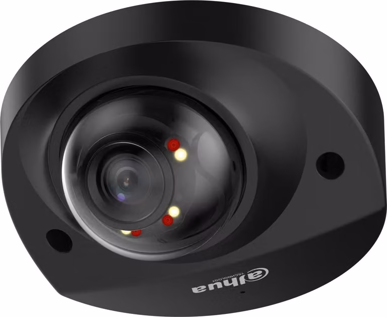 Dahua 4MP Dual Light Dome Kamera IPC-HDBW2449F-AS-IL, schwarz