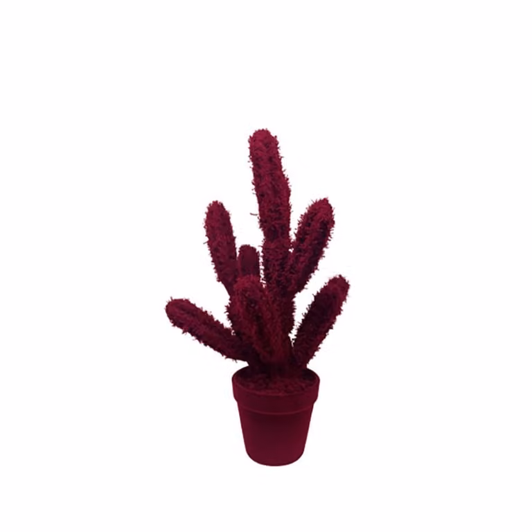 Complemento d'arredo Cactus Long Adriani e Rossi