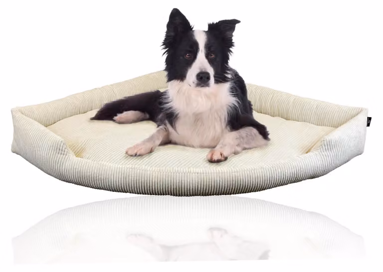 Taglierina per tubi XXL Cuccia angolare per cani di grossa taglia | Morbida coperta per cani in velluto a coste | Cuccia grande per cani di grossa taglia o 2 cani | Cuscino per cani in velluto a coste di grandi dimensioni, misura: misura 3